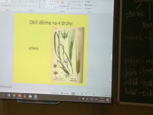 06_Od zrna po chléb